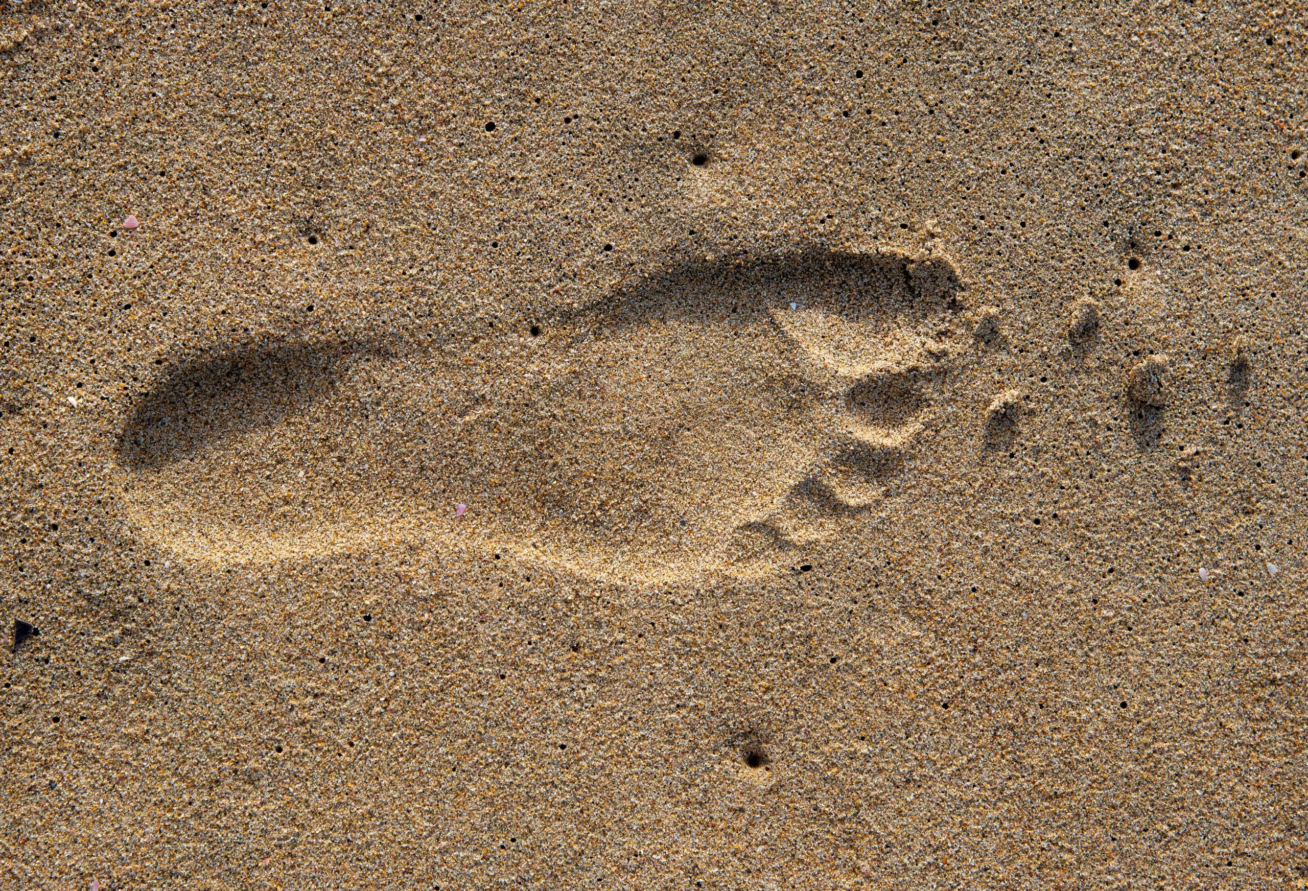PEF, Product Environmental Footprint