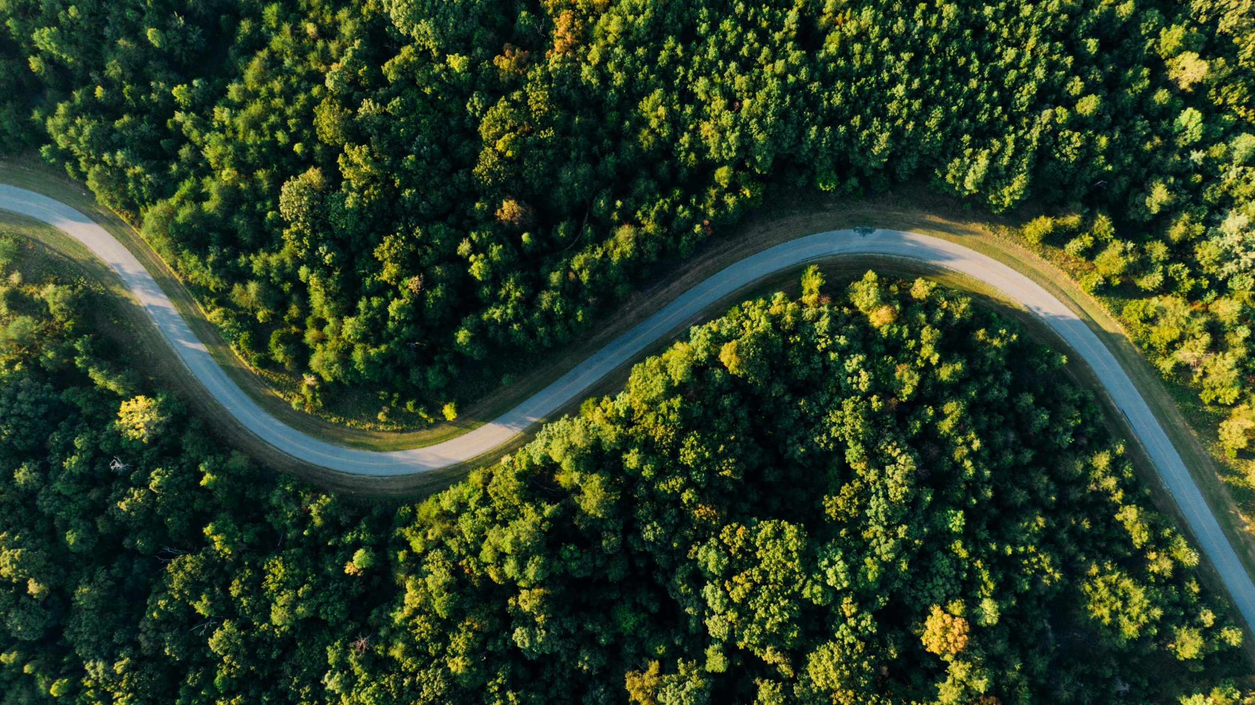 Responsible sourcing