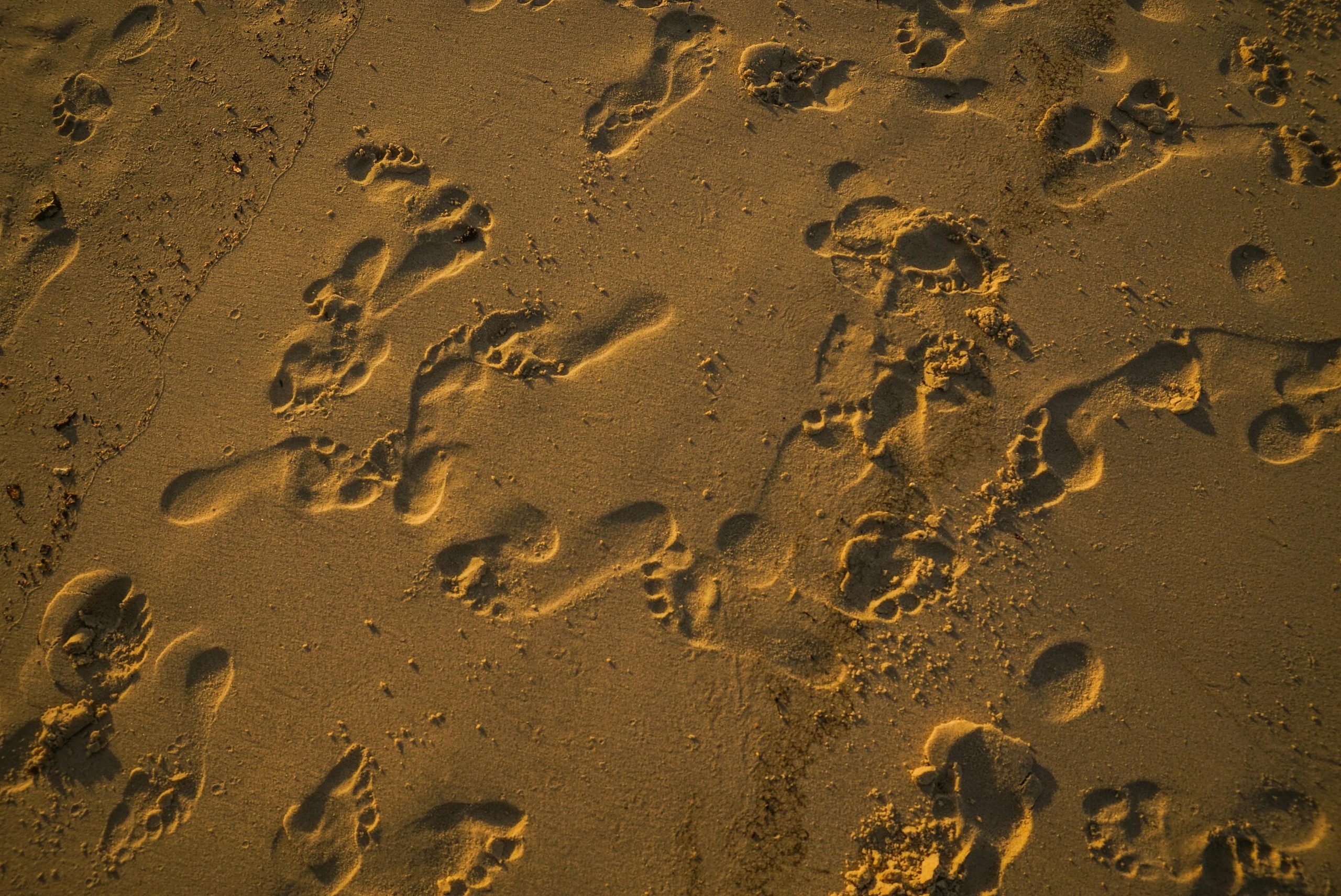 Community footprint
