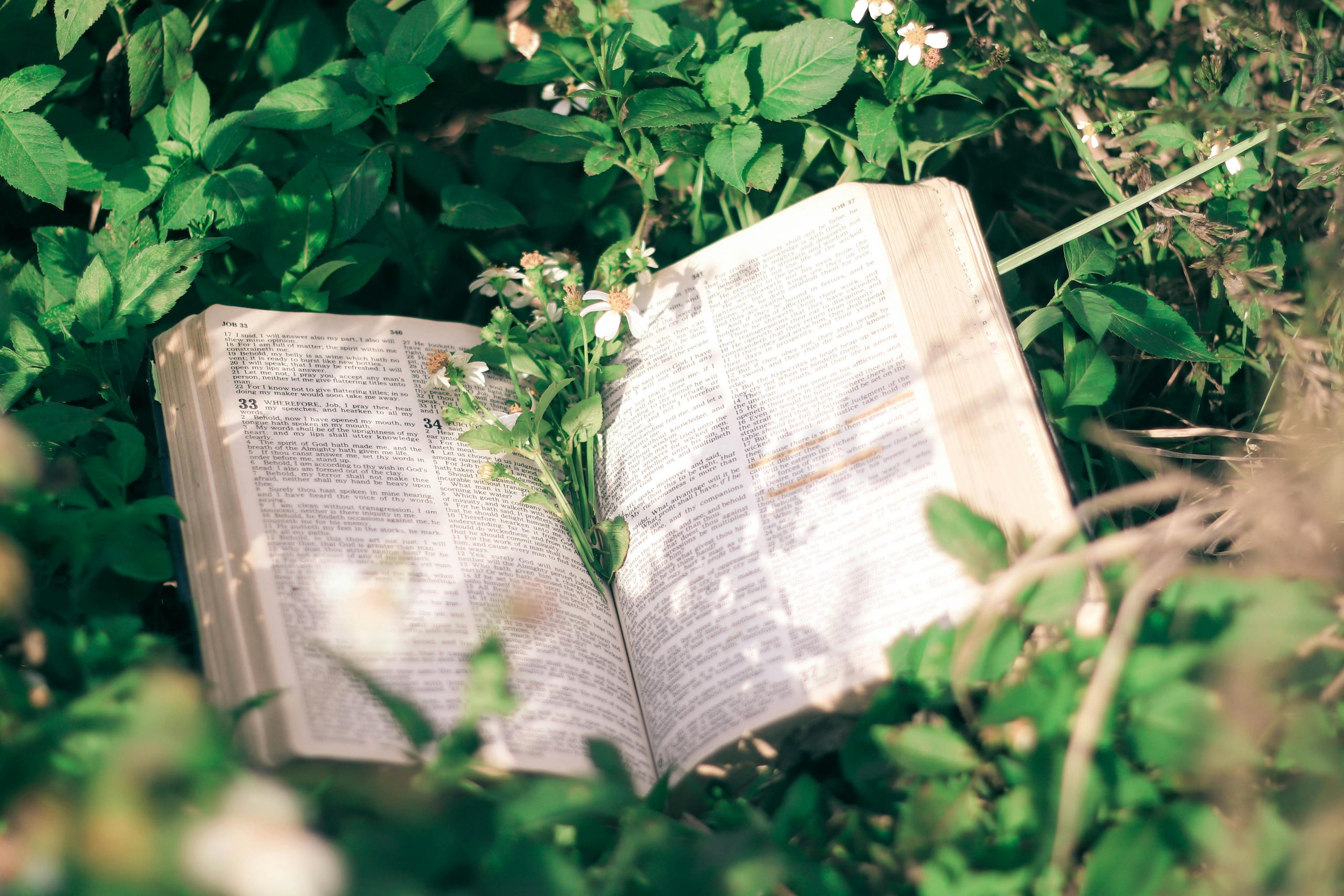 Cresce la voglia di condivisione: bookcrossing