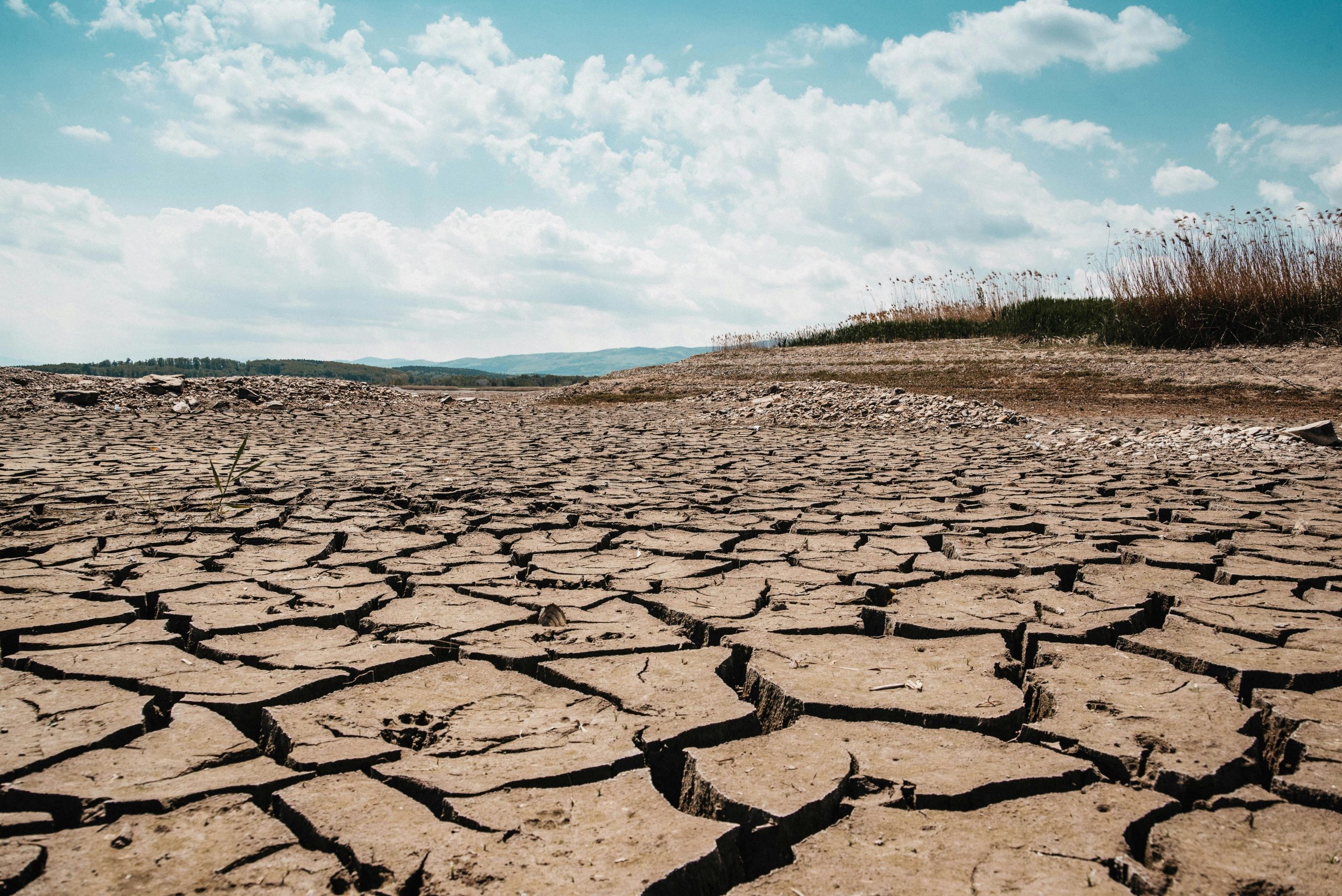 CSR e climate change
