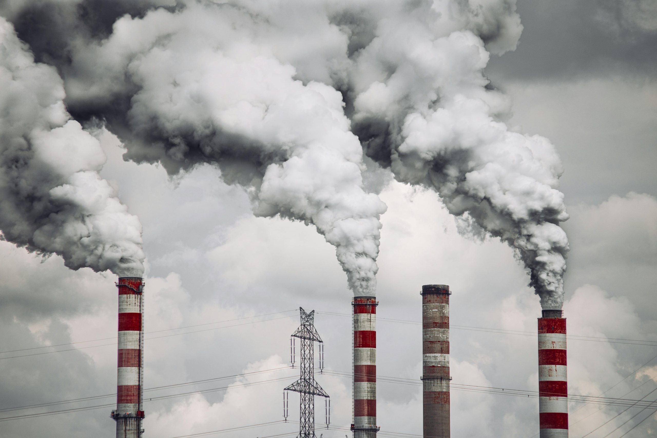 Fossil fuel divestment