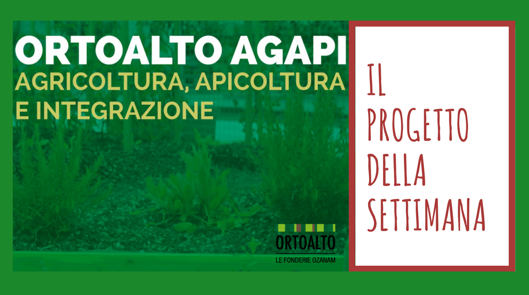 Ortoalto AGAPI