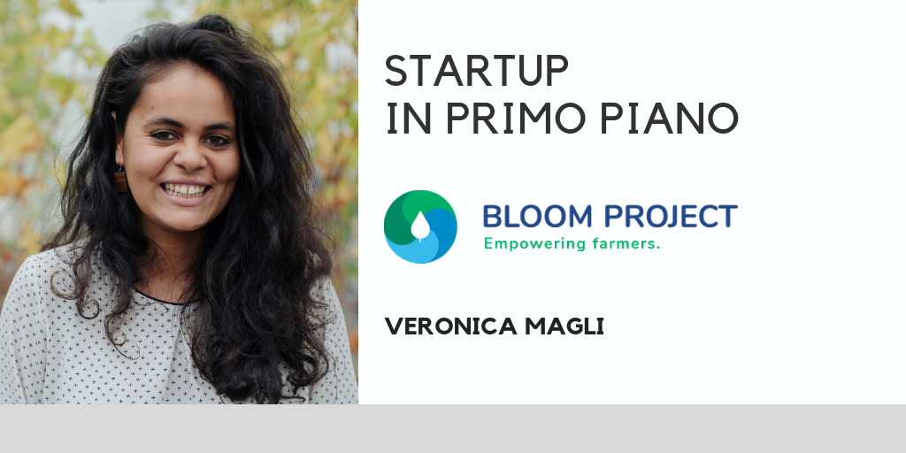 Bloom Project