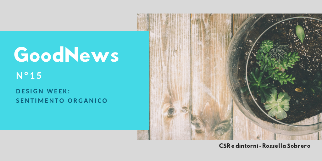 Design Week: sentimento organico