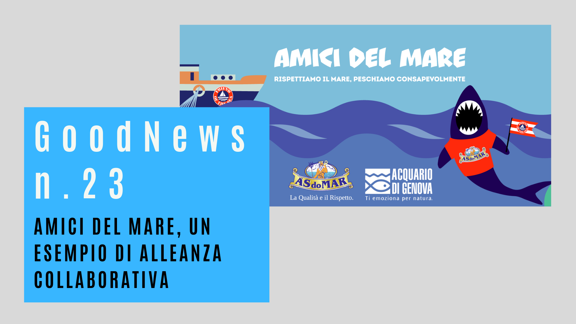 Amici del mare, un esempio di alleanza collaborativa