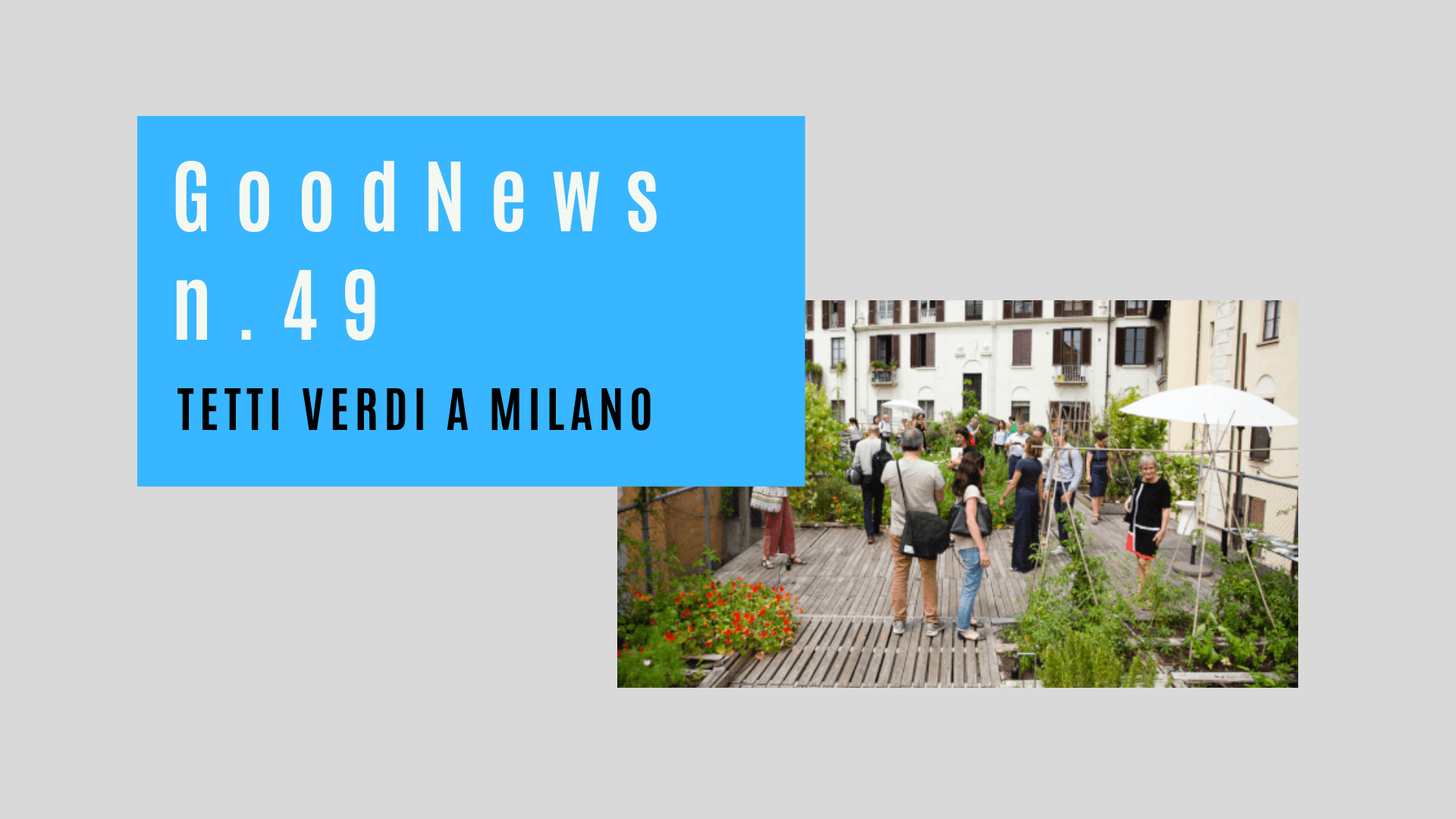 Tetti verdi a Milano