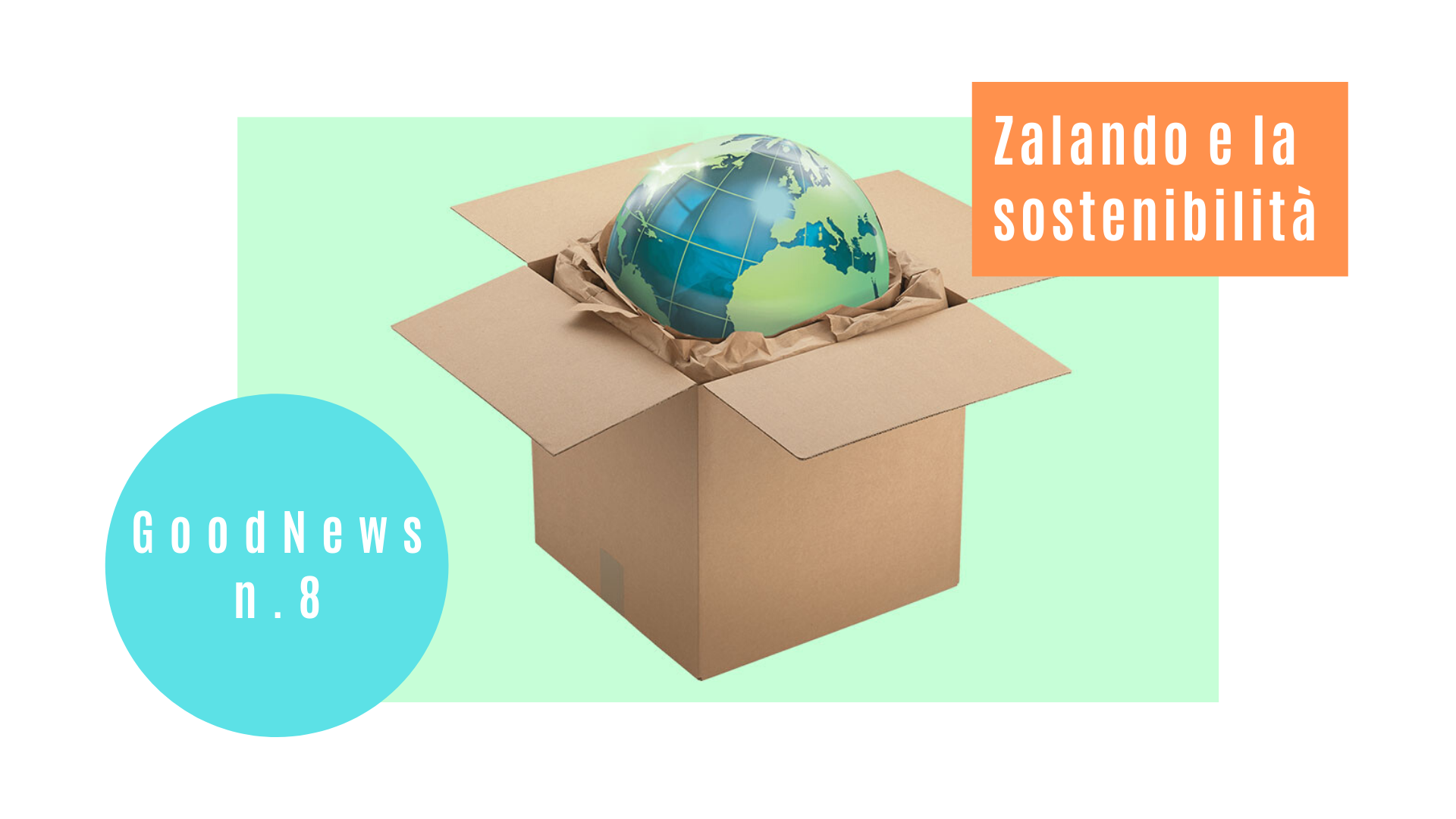 Zalando e la sostenibilità