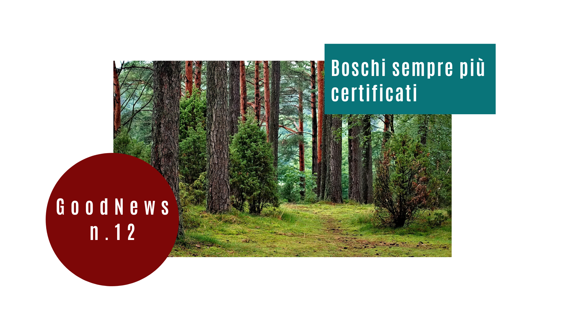 Boschi sempre più certificati