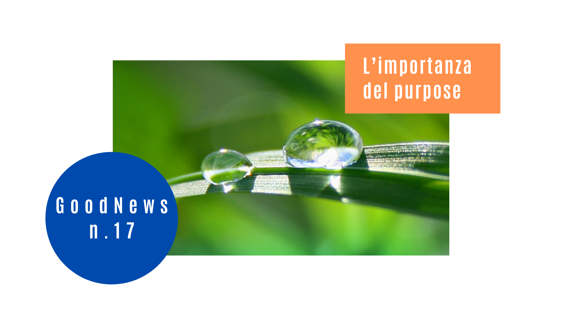 L’importanza del purpose