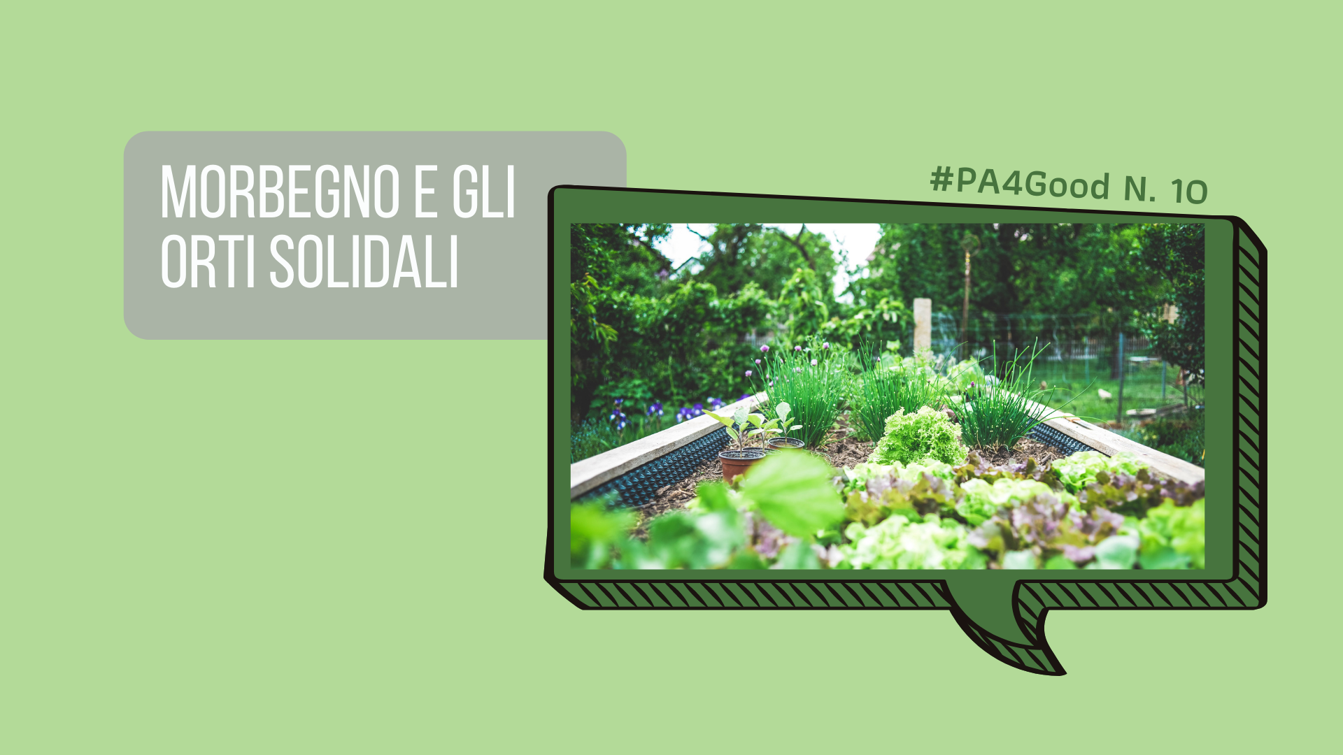 Morbegno e gli orti solidali