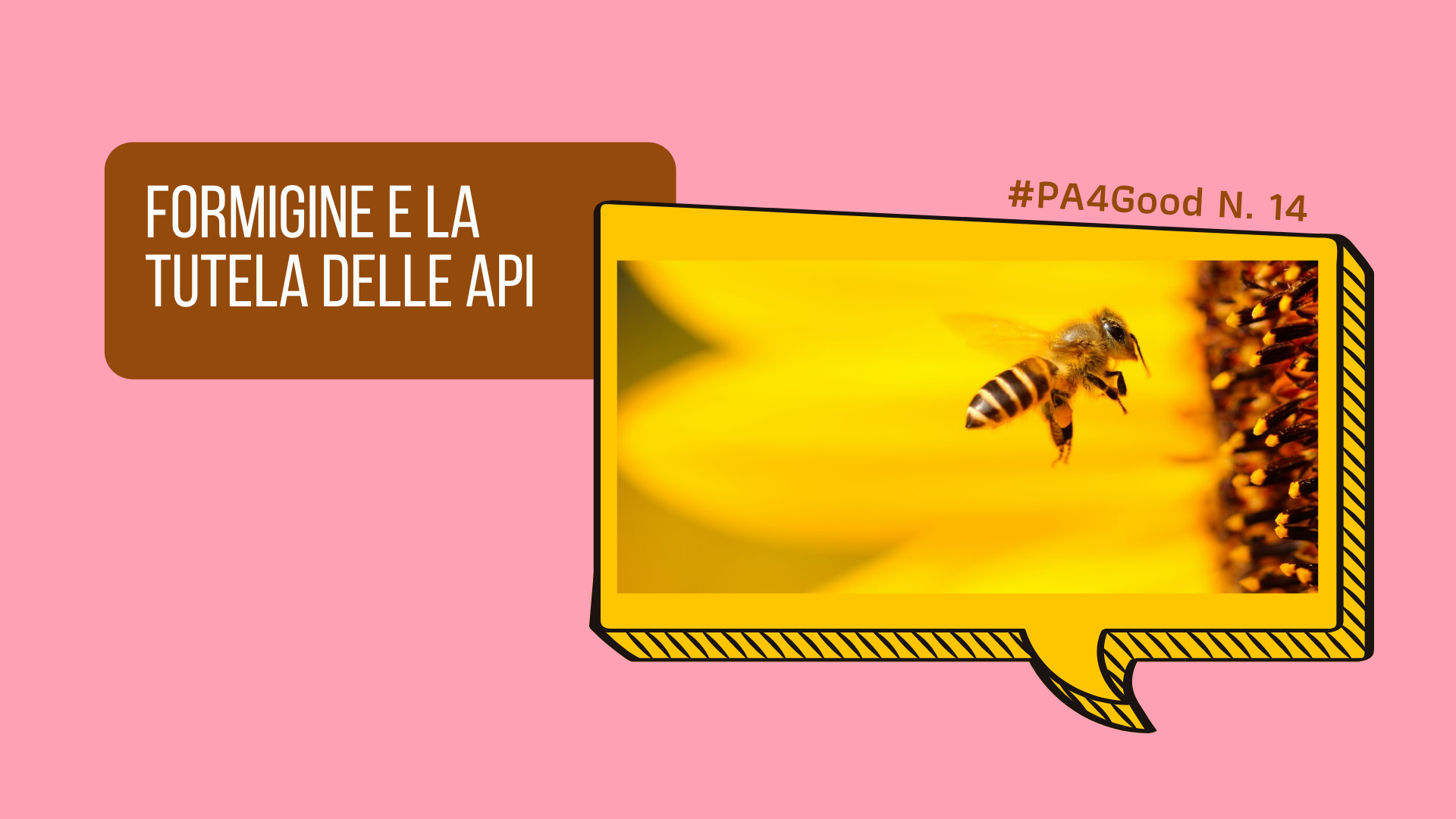 Formigine e la tutela delle api