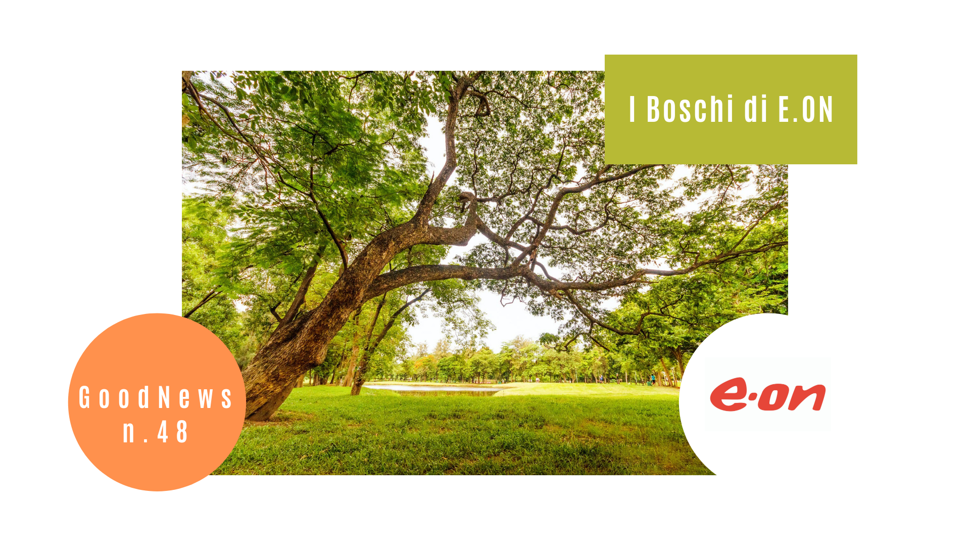 I boschi di E.ON