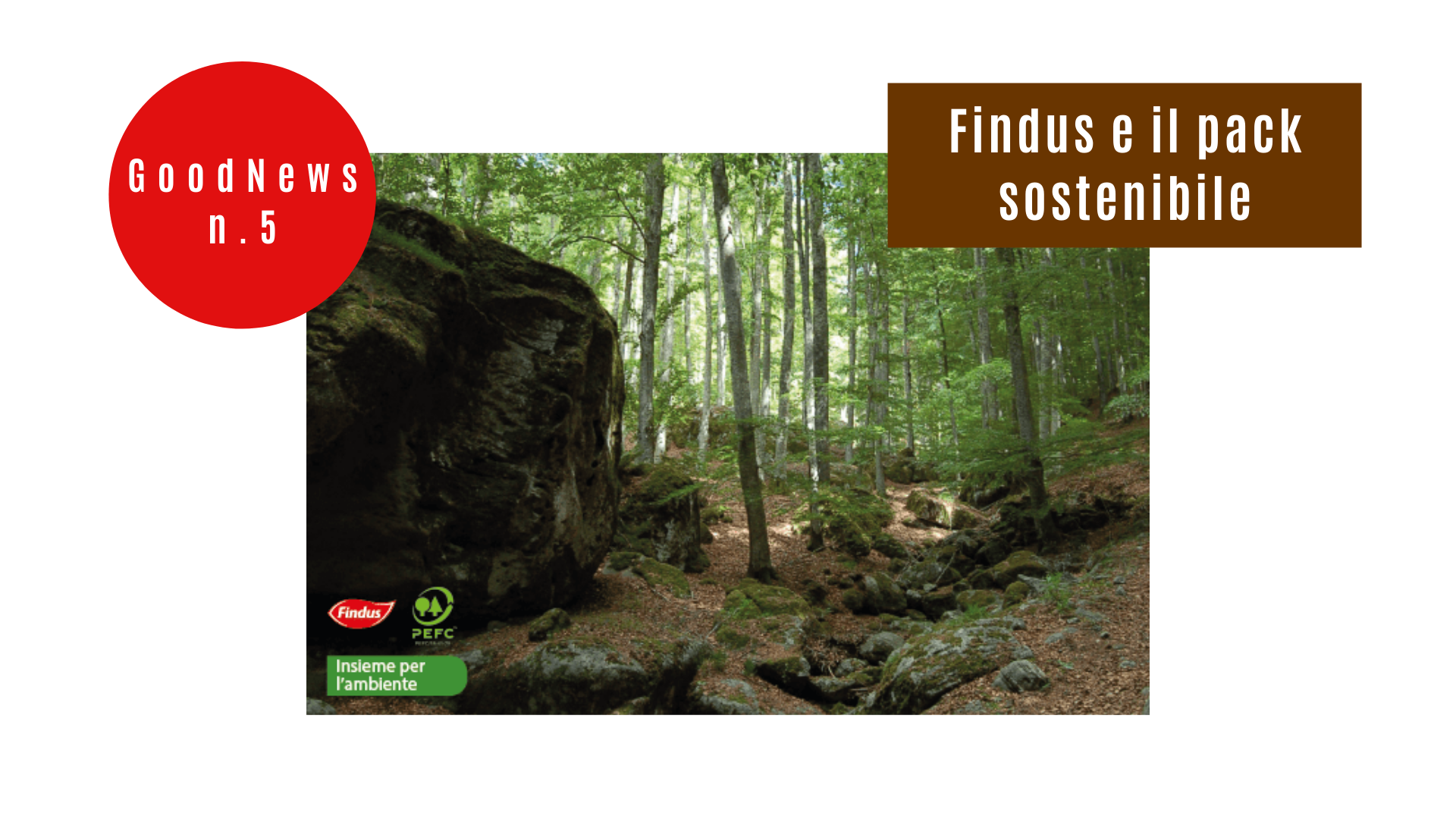 Findus e il pack sostenibile