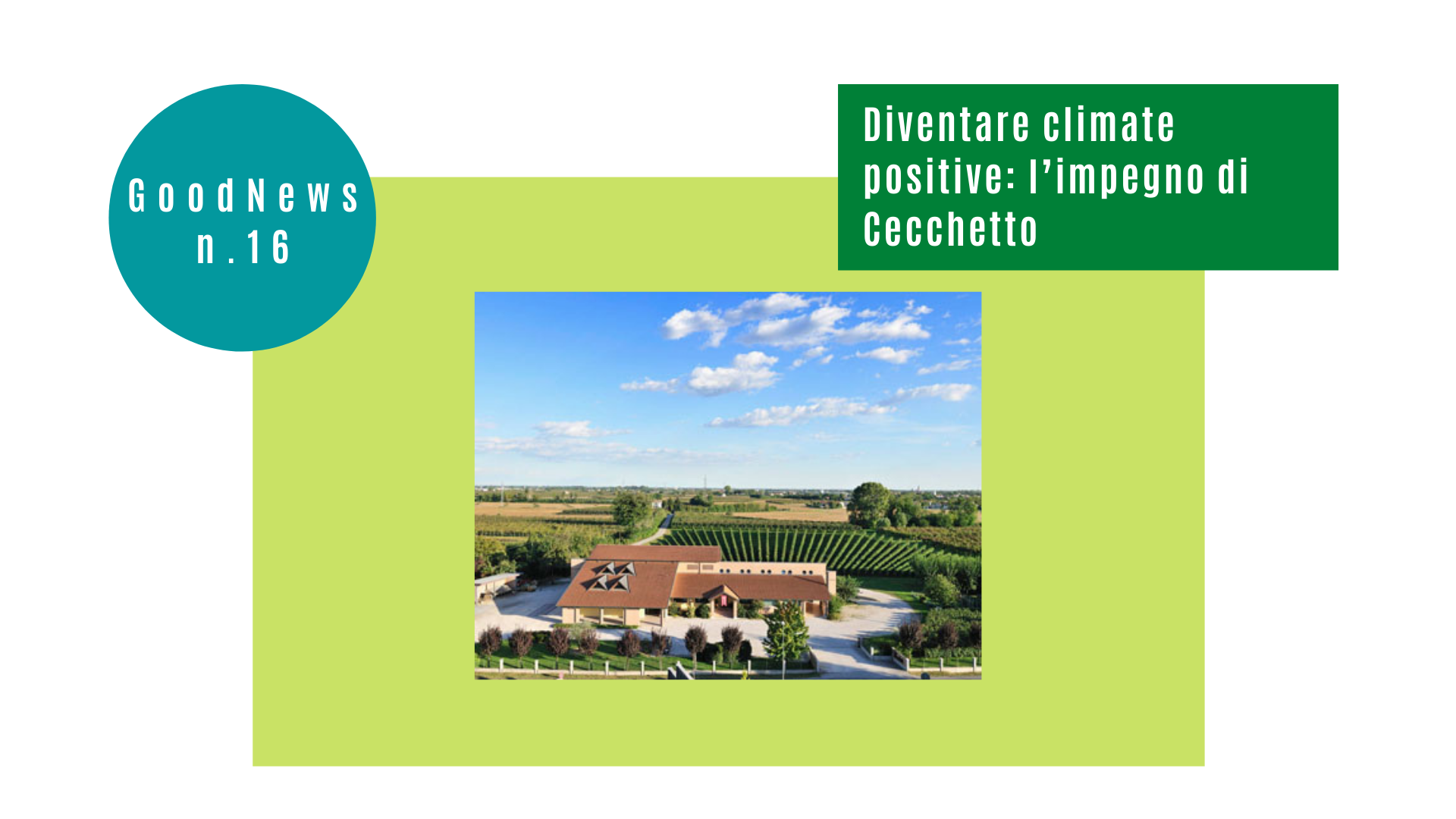 Diventare climate positive: l’impegno di Cecchetto