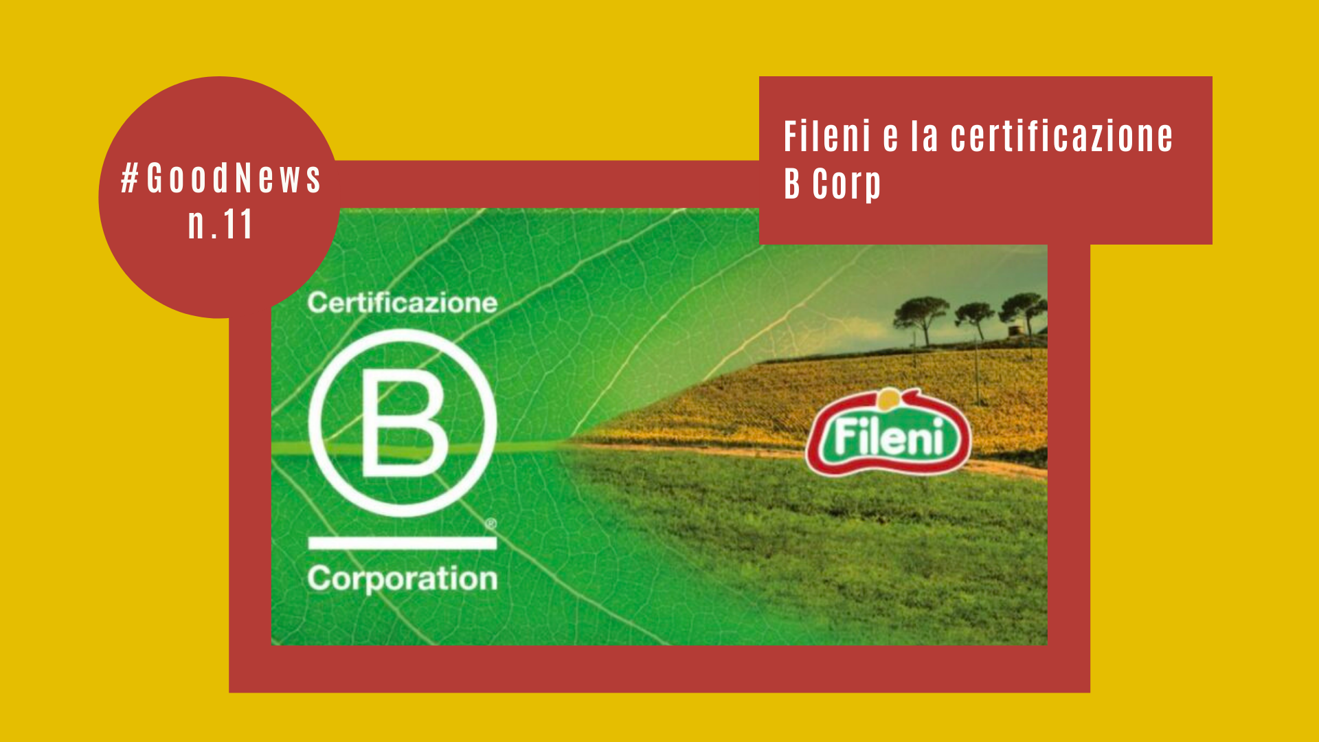 Fileni e la certificazione B Corp