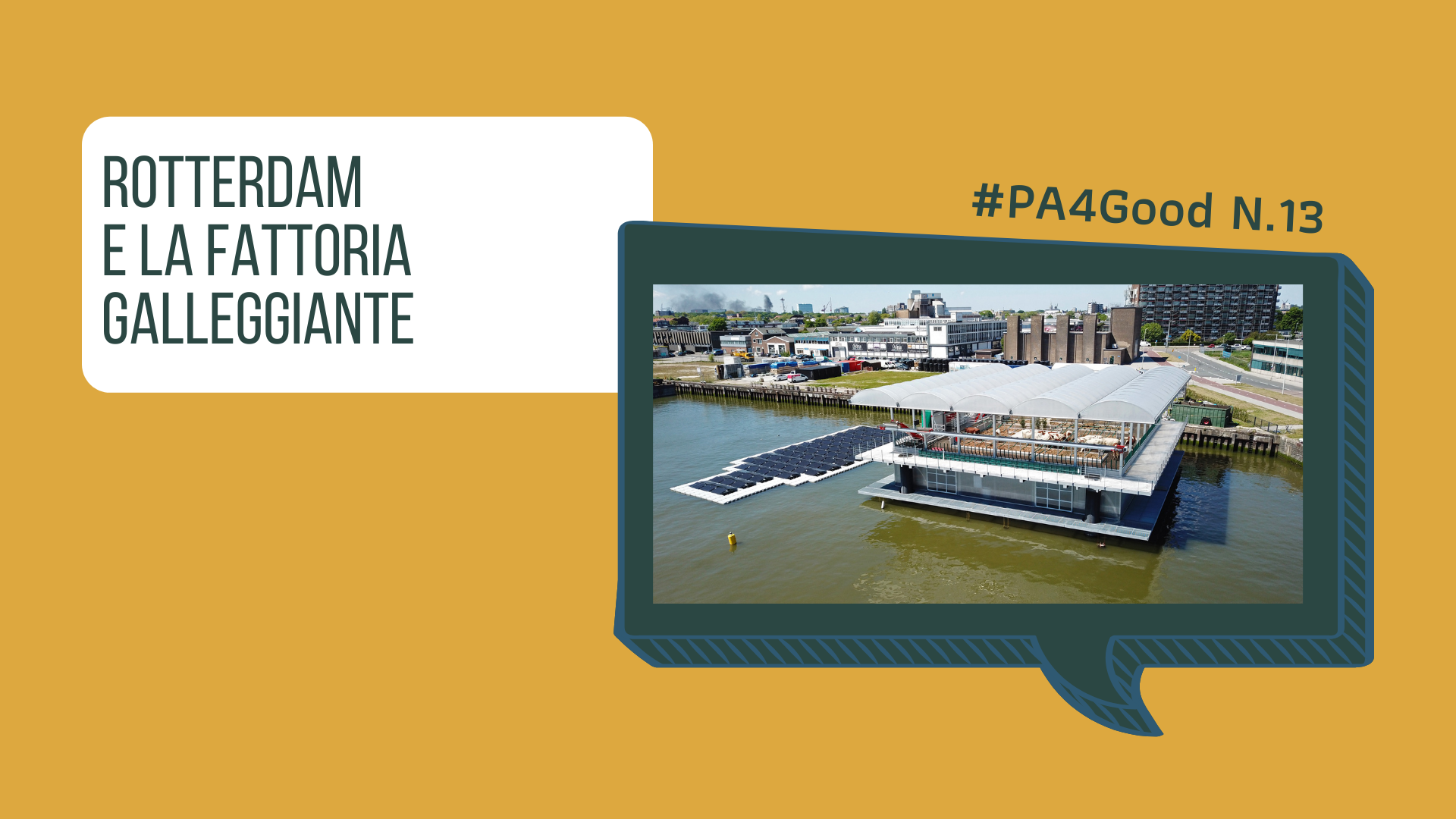 Rotterdam e la fattoria galleggiante