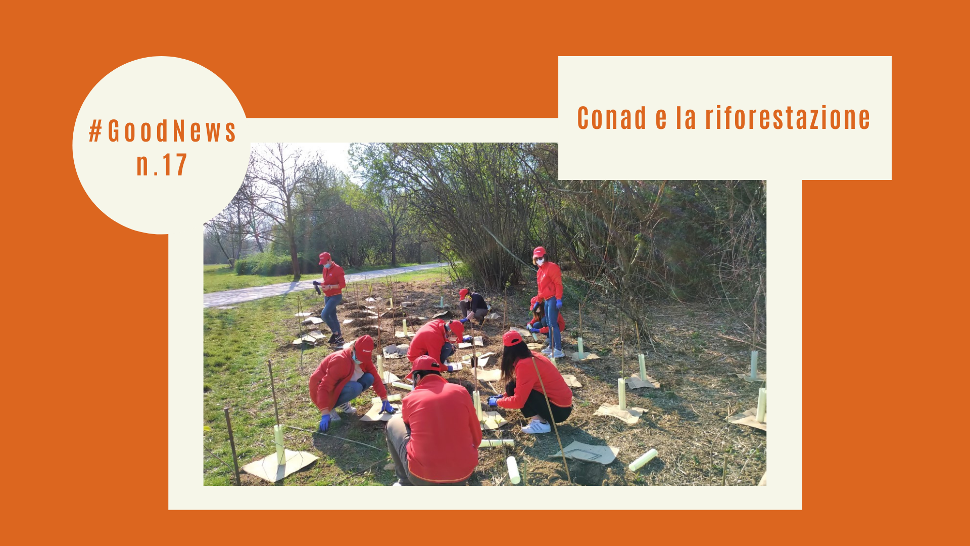 Conad e la riforestazione