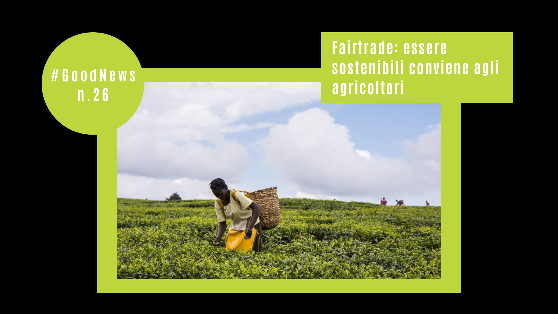 Fairtrade: essere sostenibili conviene agli agricoltori