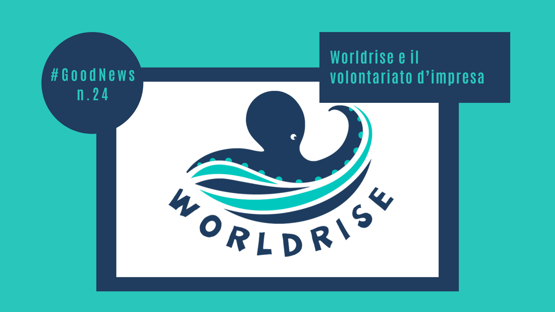 Worldrise e il volontariato d’impresa