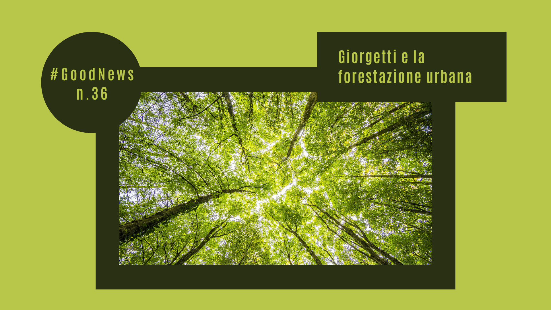 Giorgetti e la forestazione urbana