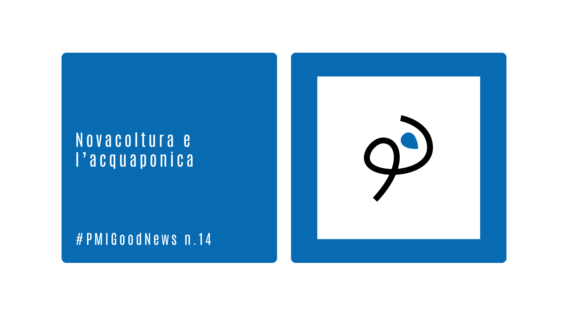 Novacoltura e l’acquaponica