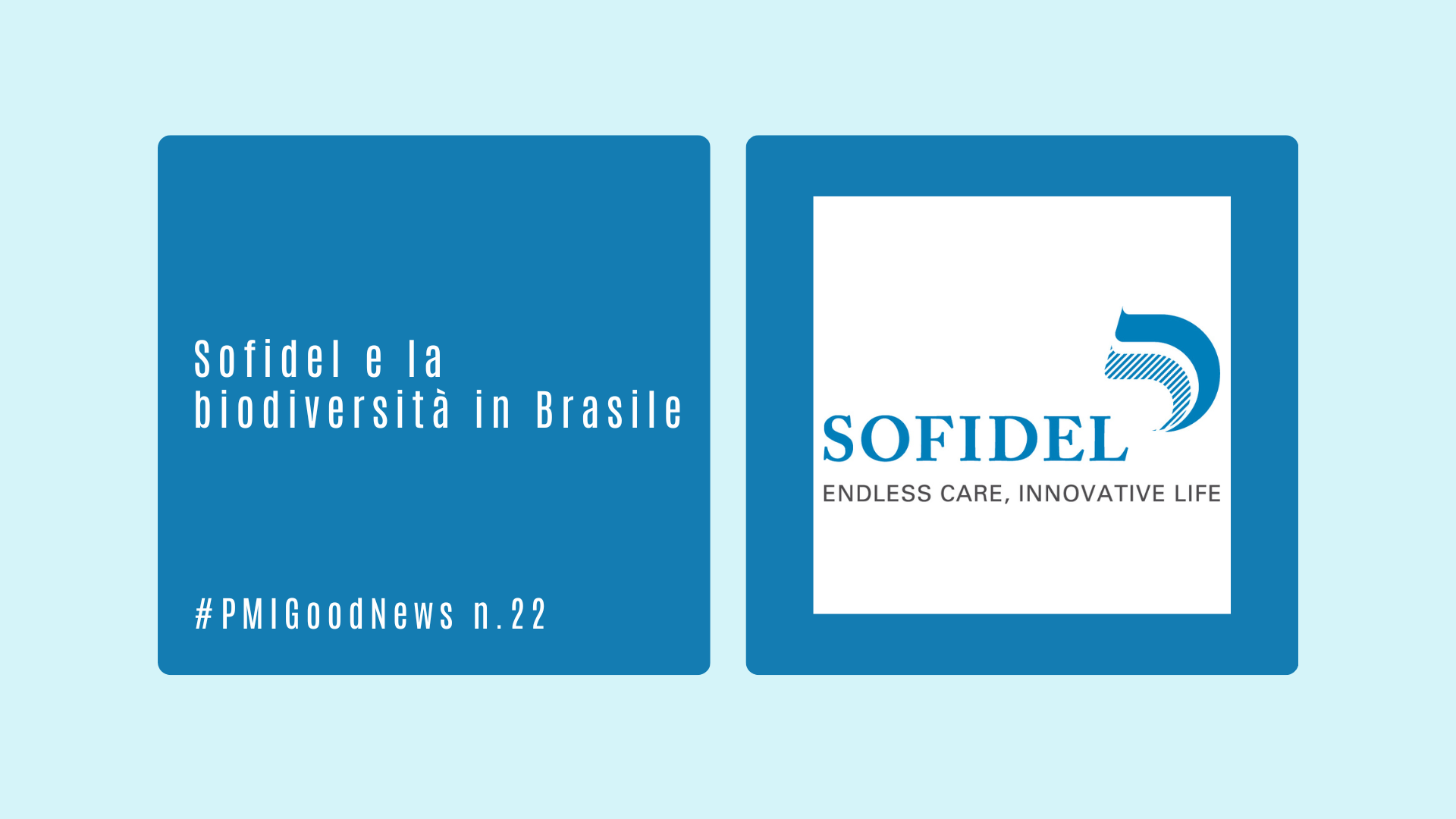 Sofidel e la biodiversità in Brasile