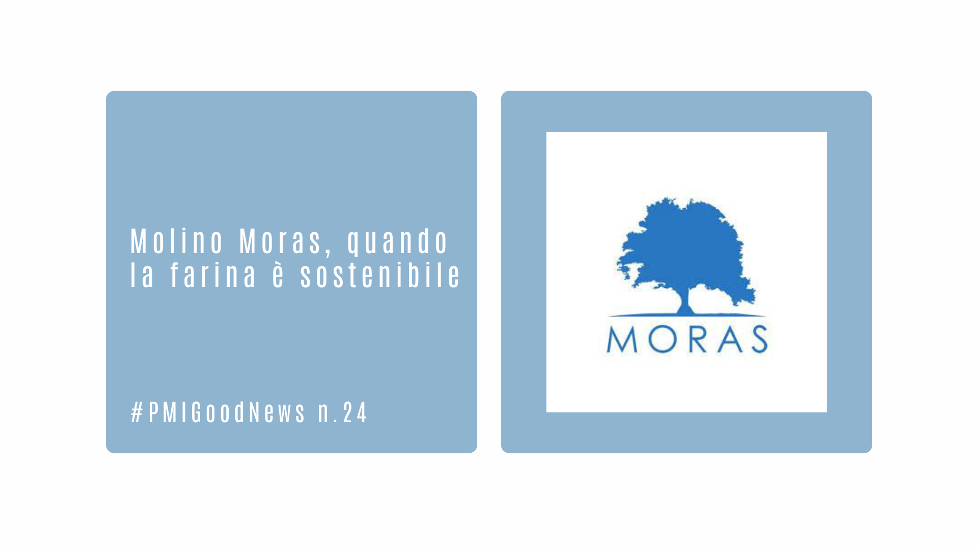 Molino Moras, quando la farina è sostenibile