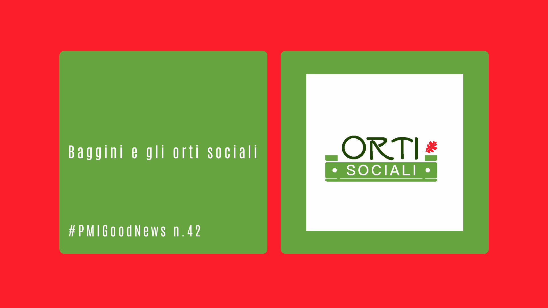 Baggini e gli orti sociali
